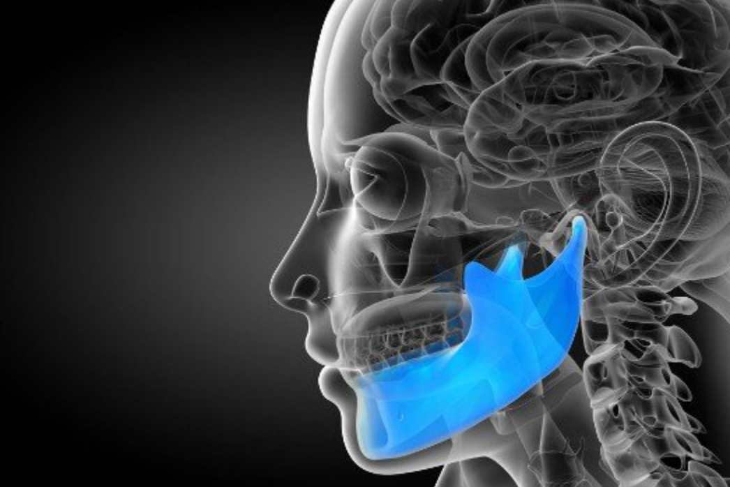 immagine del cranio con mandibola evidenziata di colore blu (Cone Beam)